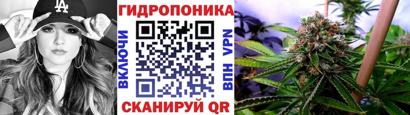 Виды наркоты Красноярск КОКАИН MDMA Марихуана Alpha-PVP Псилоцибиновые грибы
