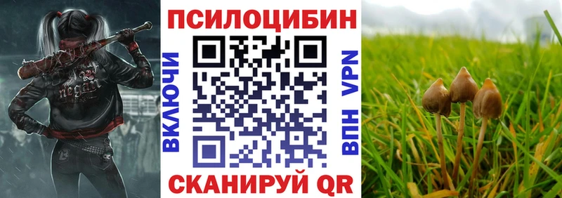Псилоцибиновые грибы Psilocybine cubensis  гидра как зайти  Красноярск  где найти  